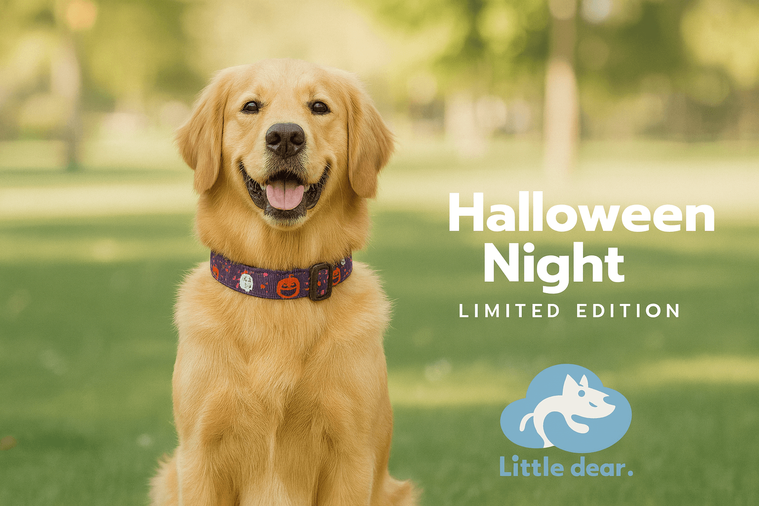 ปลอกคอ Halloween Night – Limited Edition - รูปที่ 2